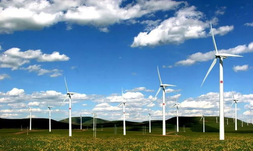 日本留學薪資最高的8大專業匯總 前景無限的技術服務領域